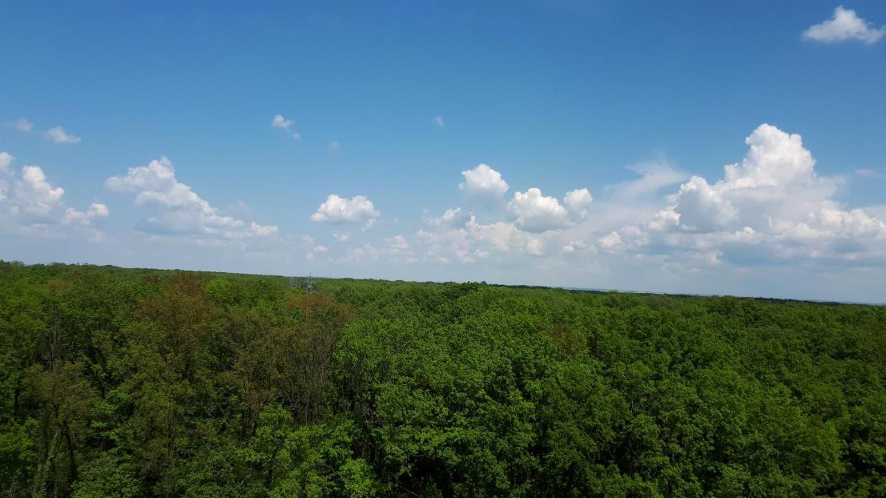 Forest 2 Timisoara Exterior foto